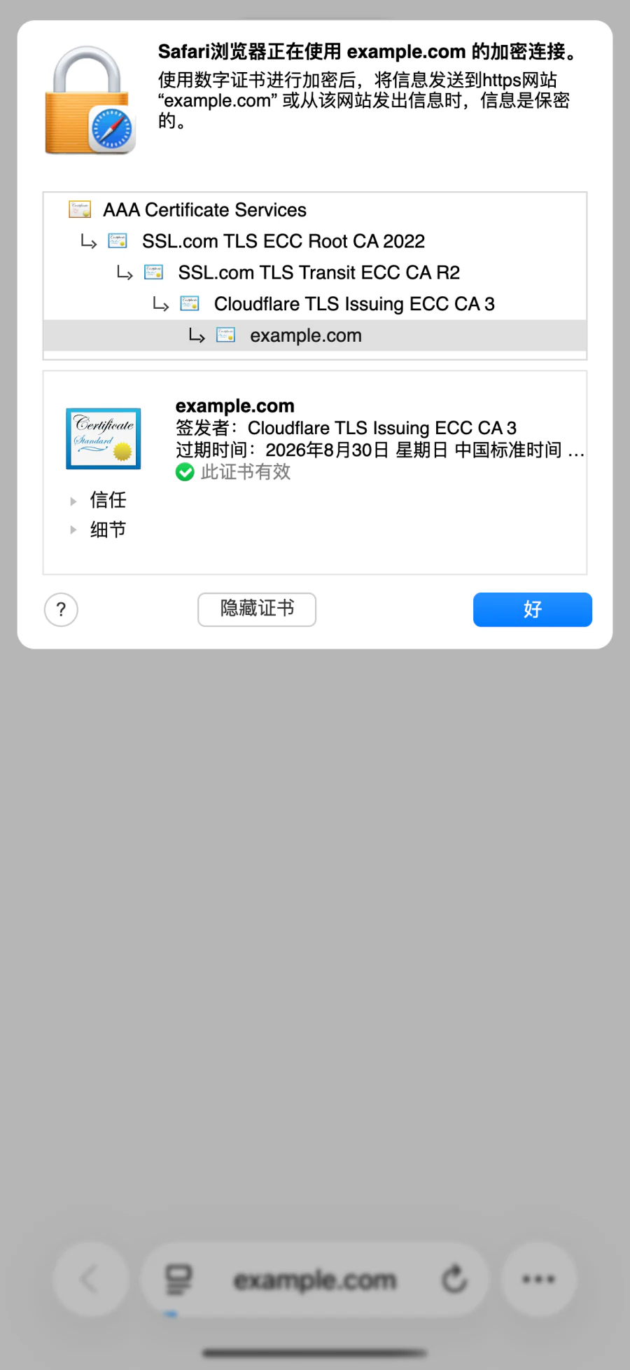 Safari 中展示 example.com 证书链的 Certificate Viewer 扩展